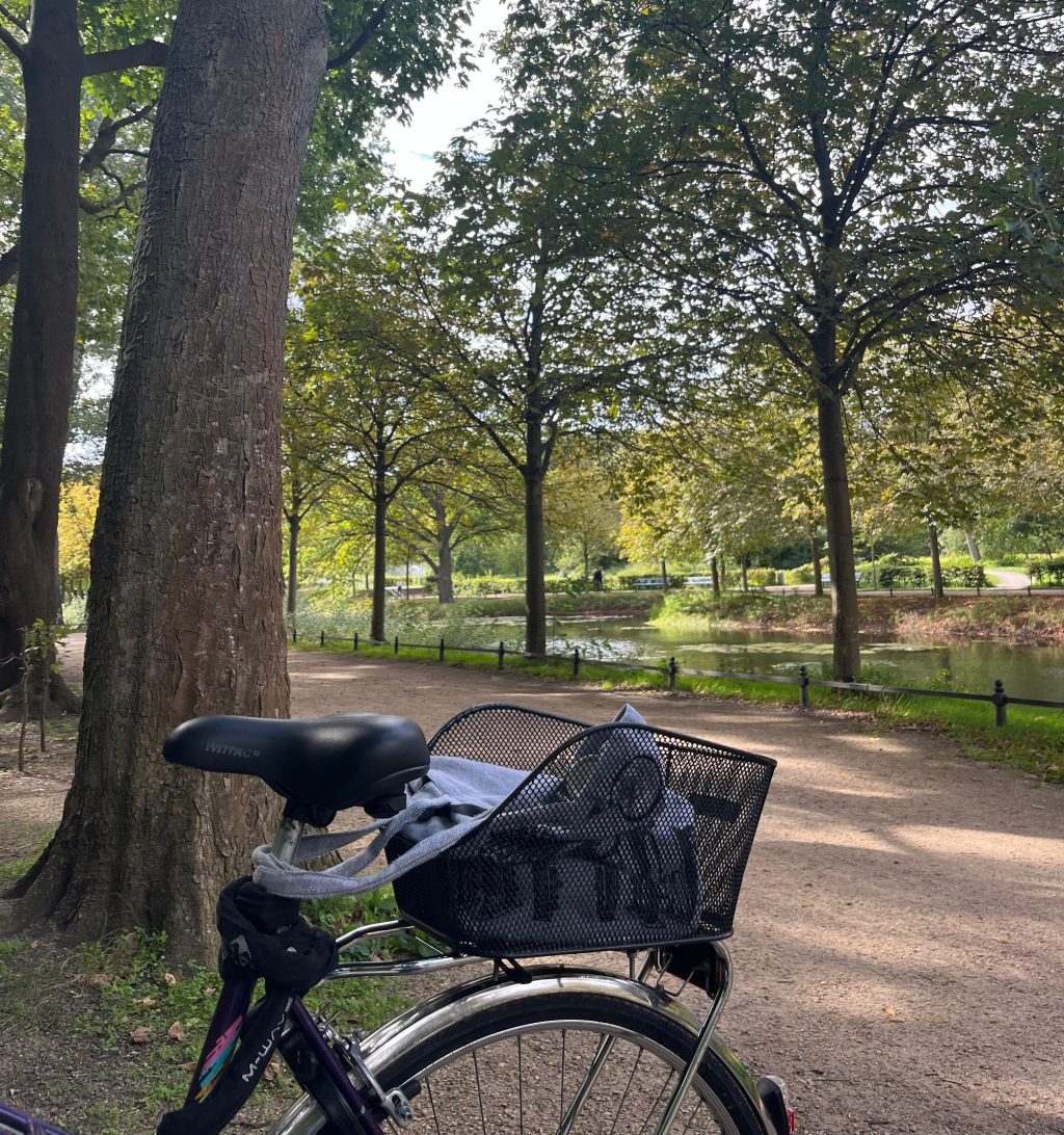 Transitioning to Autumn